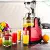 US Plug Slow Masticating Juicer, Cold Press Juice Extractor Nama Juicer Orange Juicer Apples Orange Citrus Juicer Machine
