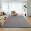 NOAHAS Gray Soft Rugs for Living Room Long Hair Lounge Carpet In The Bedroom Furry Decoration Nordic Fluffy Floor Bedside Mats